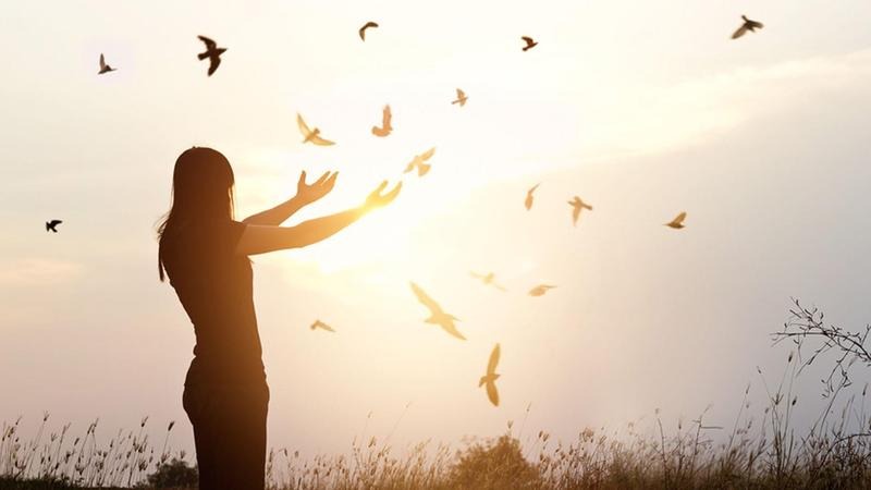 h9rnnypz4rfntzecsgikxzyjqfile